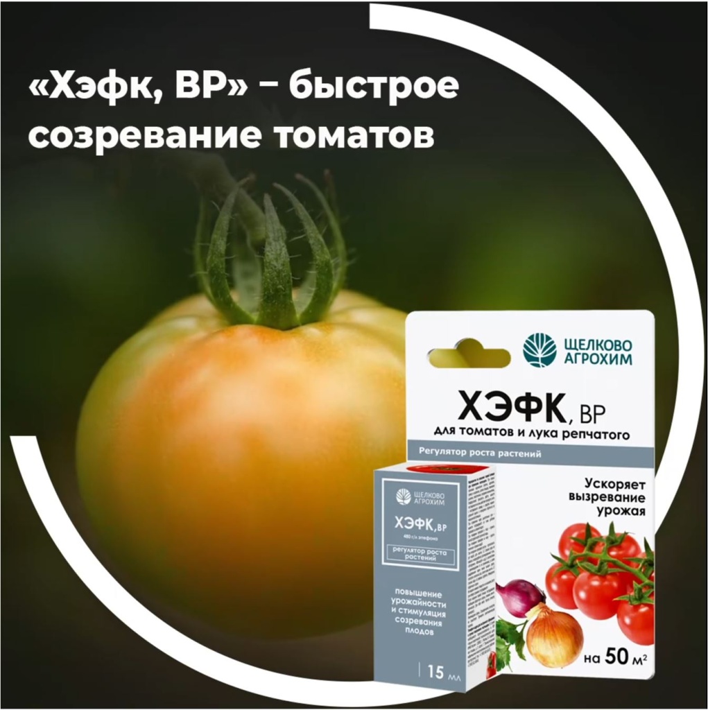 «Хэфк, ВР» – ускоренный рост томатов