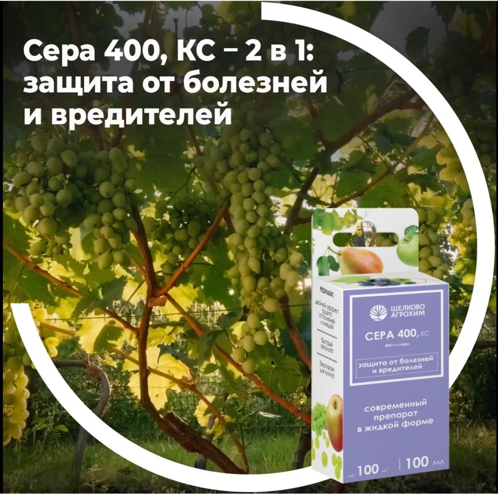 Сера, 400, КС — 2 в 1: защита от болезней и вредителей