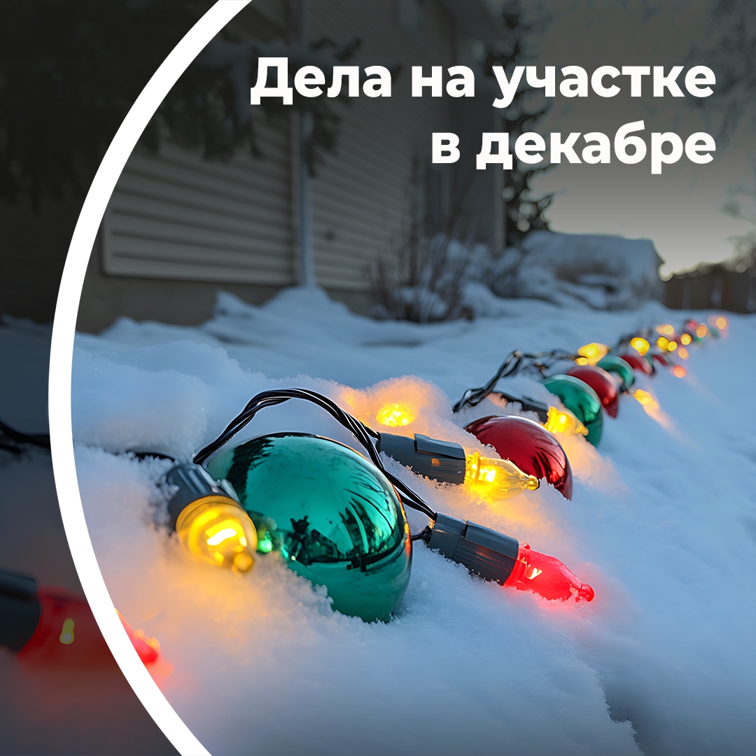 Дела на участке в декабре