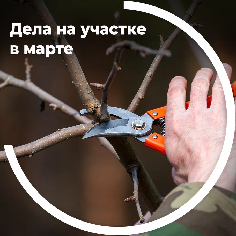 Работы на участке в марте