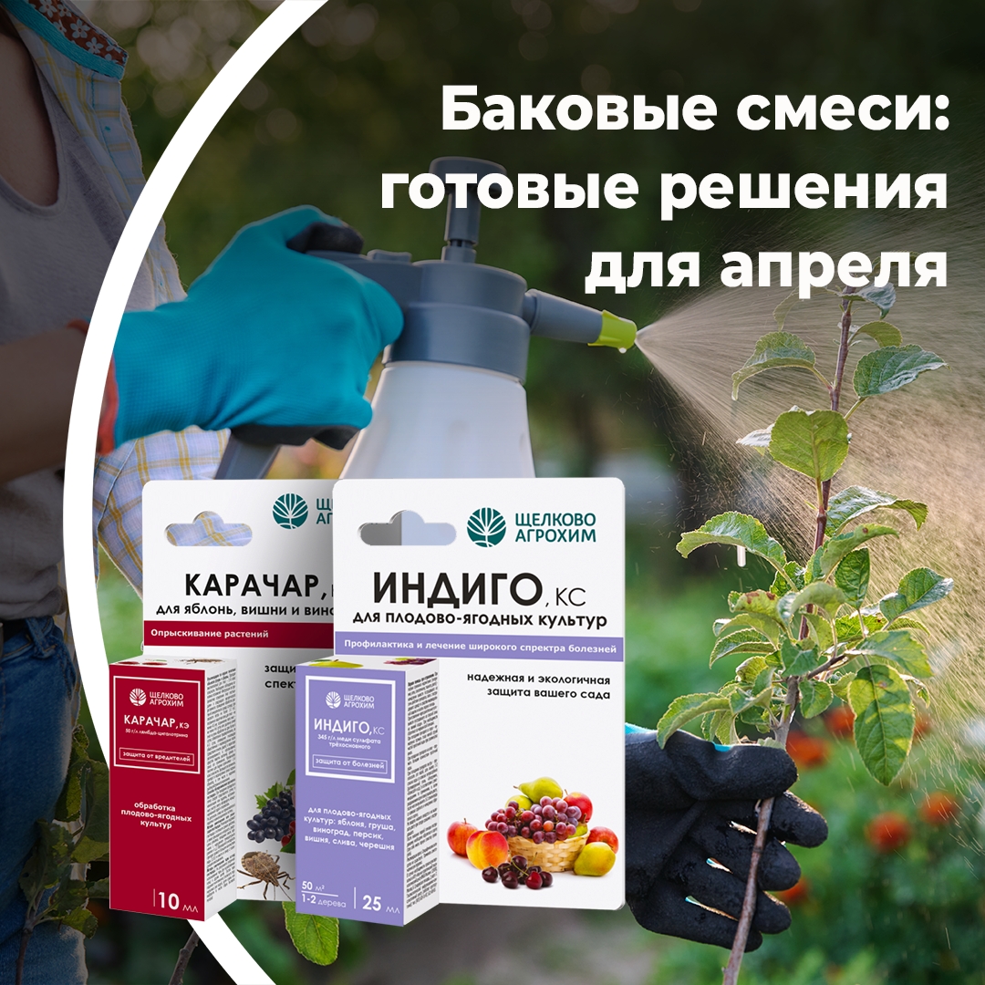 Баковые смеси: готовые решения для апреля