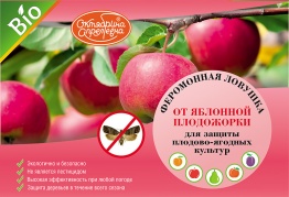 Боремся с яблонной плодожоркой