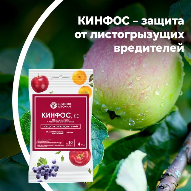 КИНФОС — защита от листогрызущих вредителей