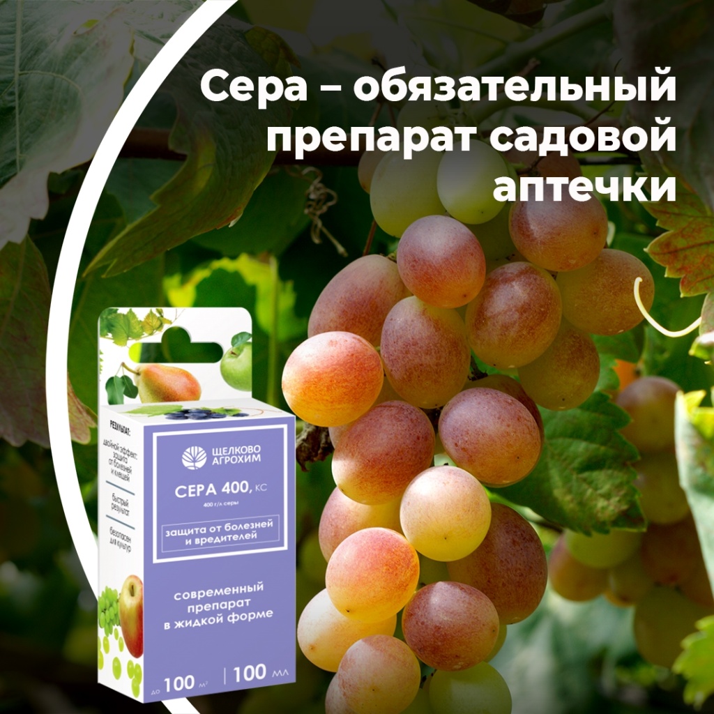 Сера — обязательный препарат садовой аптечки