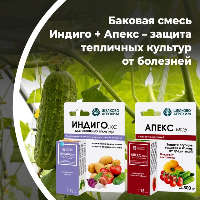 Баковая смесь Индиго + Апекс — защита тепличных культур от болезней
