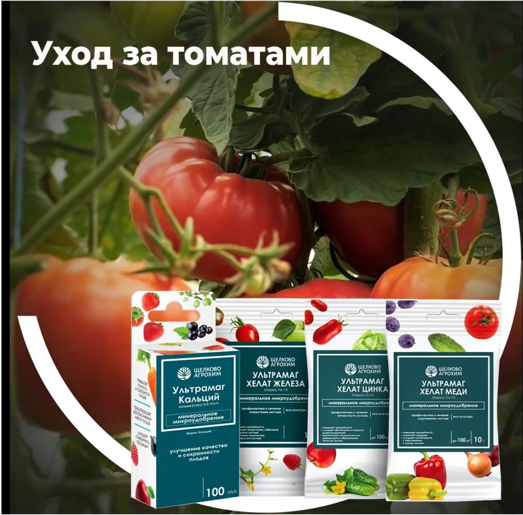 Уход за томатами