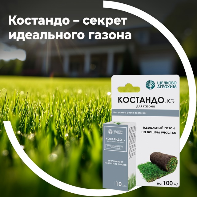 Костандо — секрет идеального газона