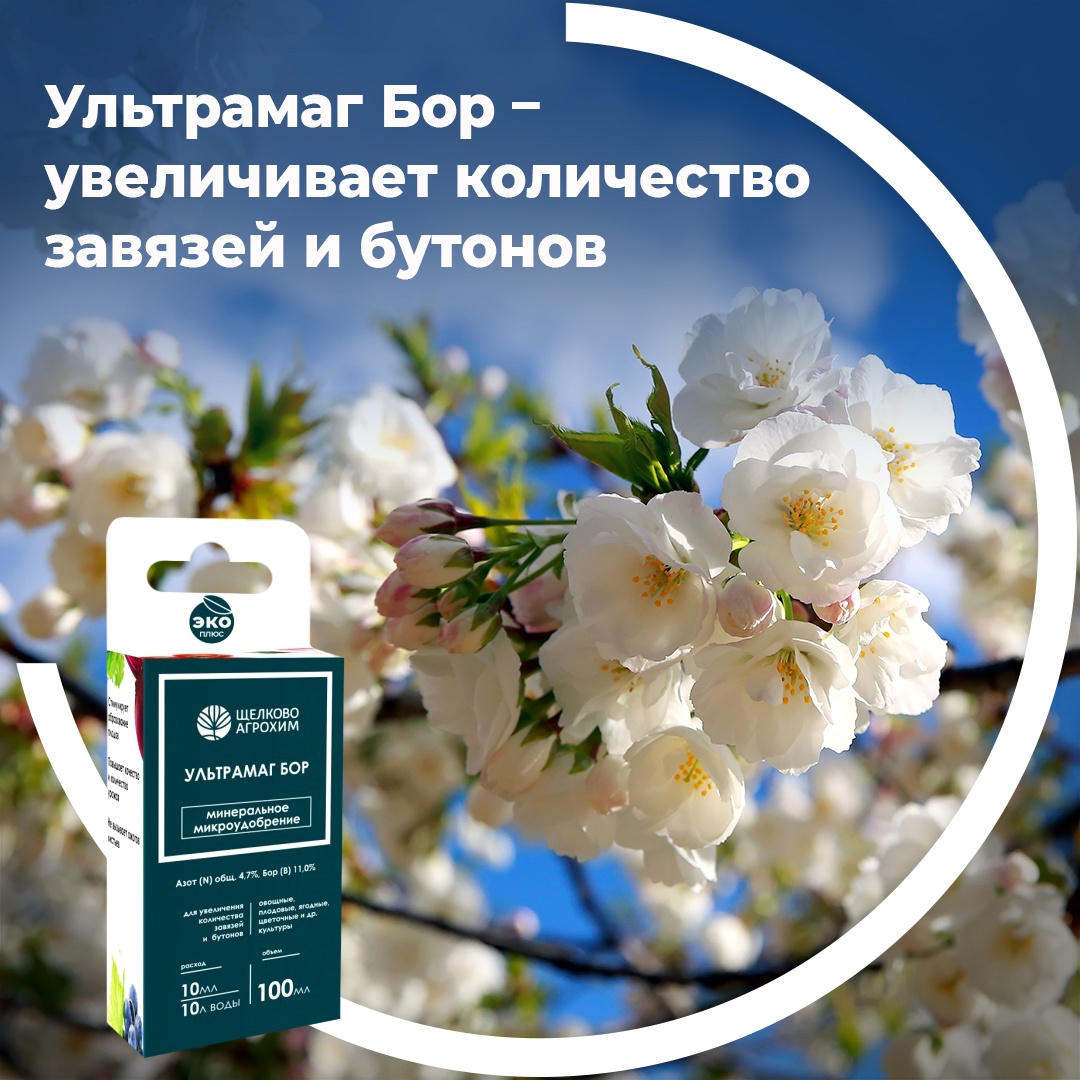 Ультрамаг Бор — увеличивает количество завязей и бутонов