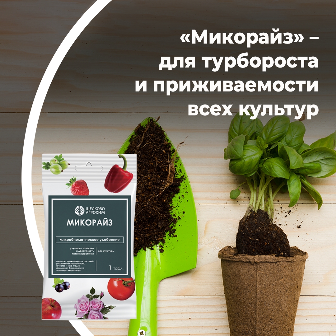 «Микорайз» – для роста и приживаемости всех культур