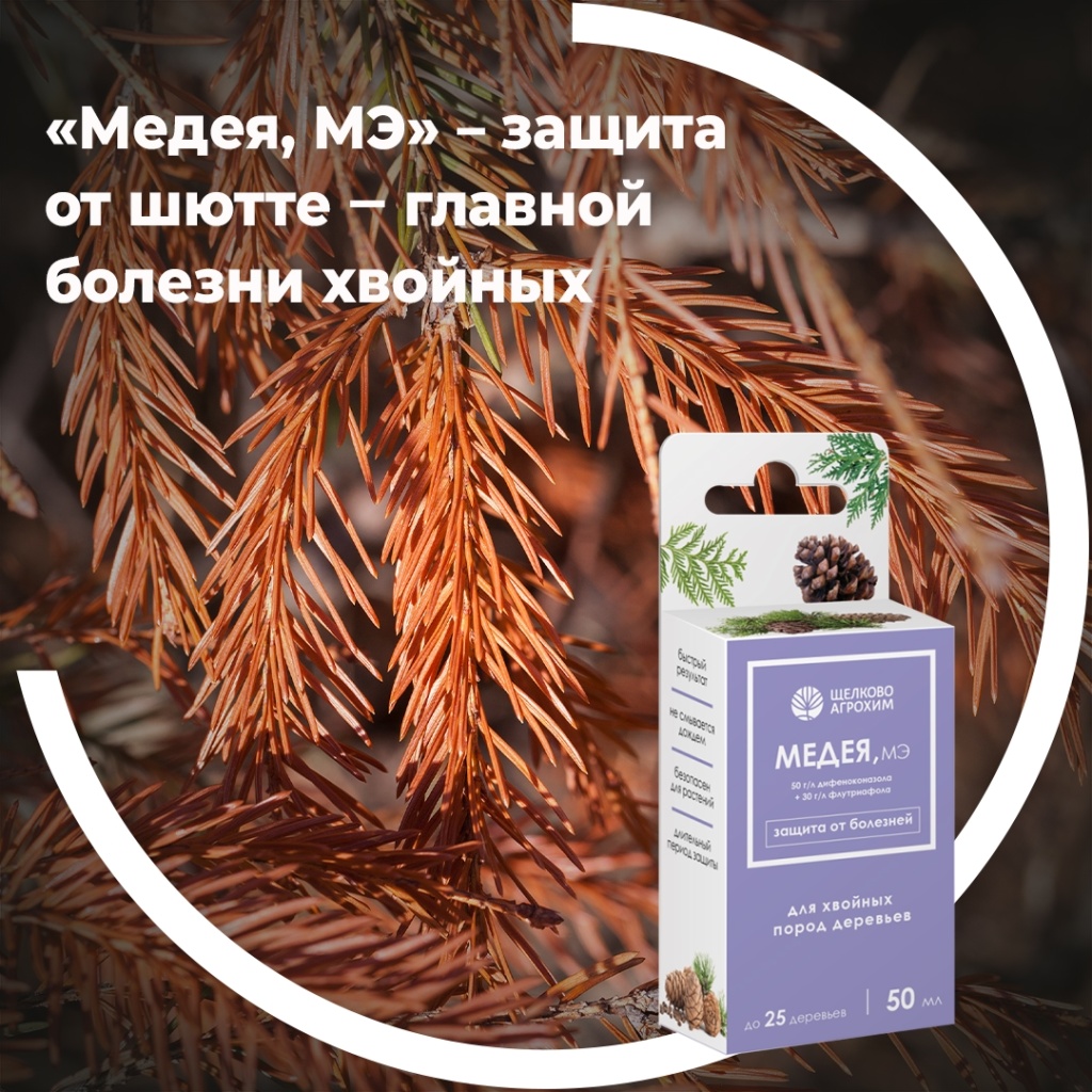 «Медея, МЭ» – защита от шютте – главной болезни хвойных