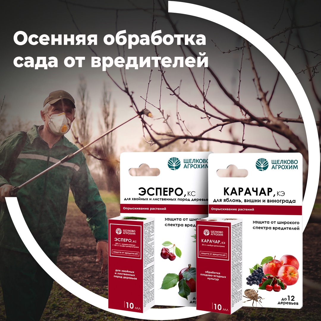Осенняя обработка сада от вредителей инсектицидами «Карачар, КЭ», « Эсперо, КС»