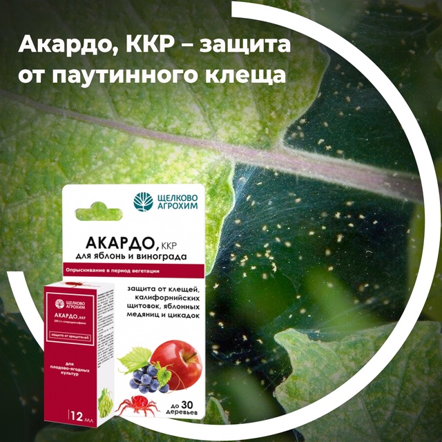 Акардо, ККР — защита от паутинного клеща