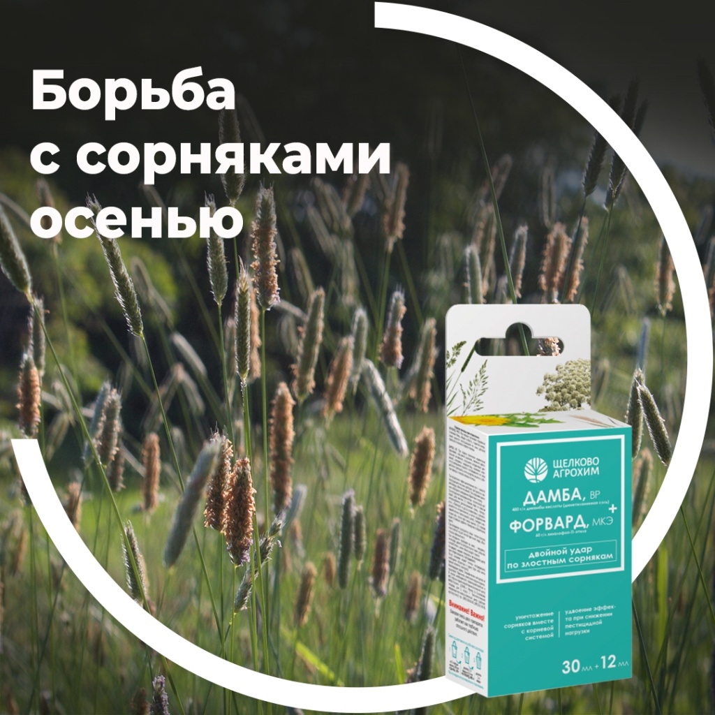 Осенняя обработка участка от сорняков