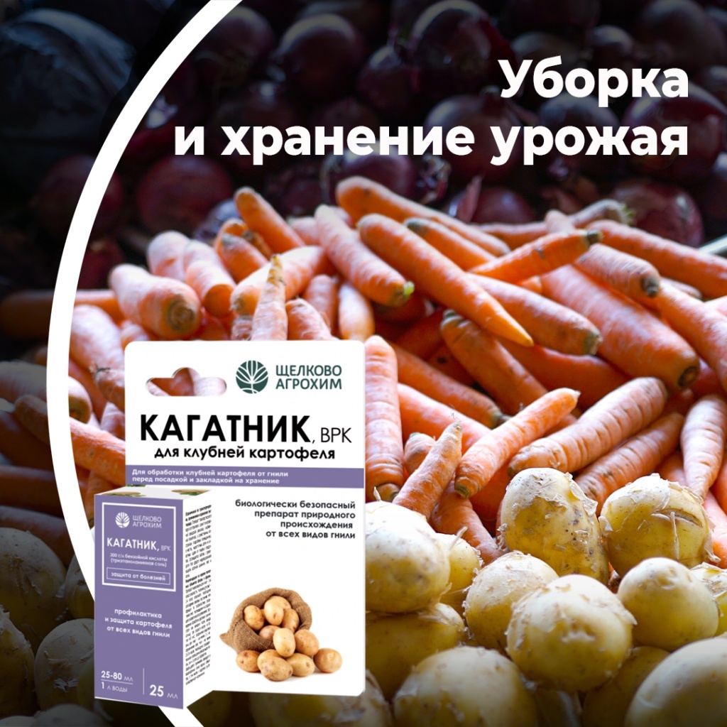 Хранение собранного урожая