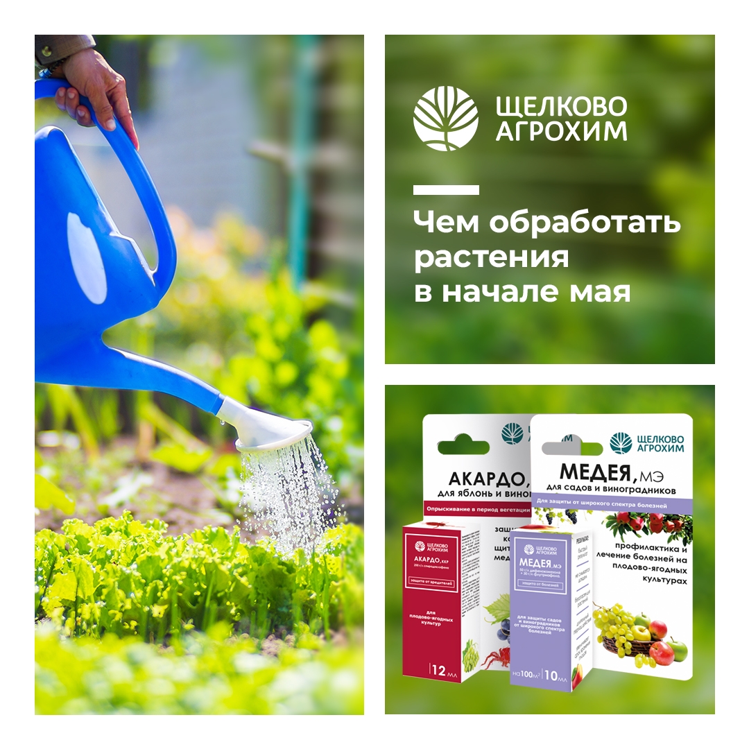 Чем обработать растения в начале мая