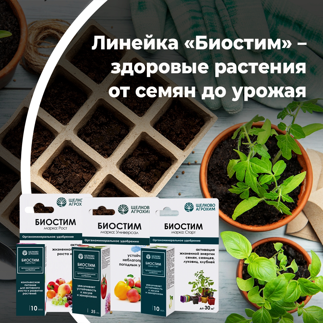 Линейка «Биостим» – здоровые растения от семян до урожая