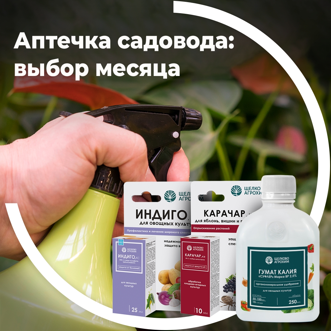 Аптечка садовода — выбор месяца