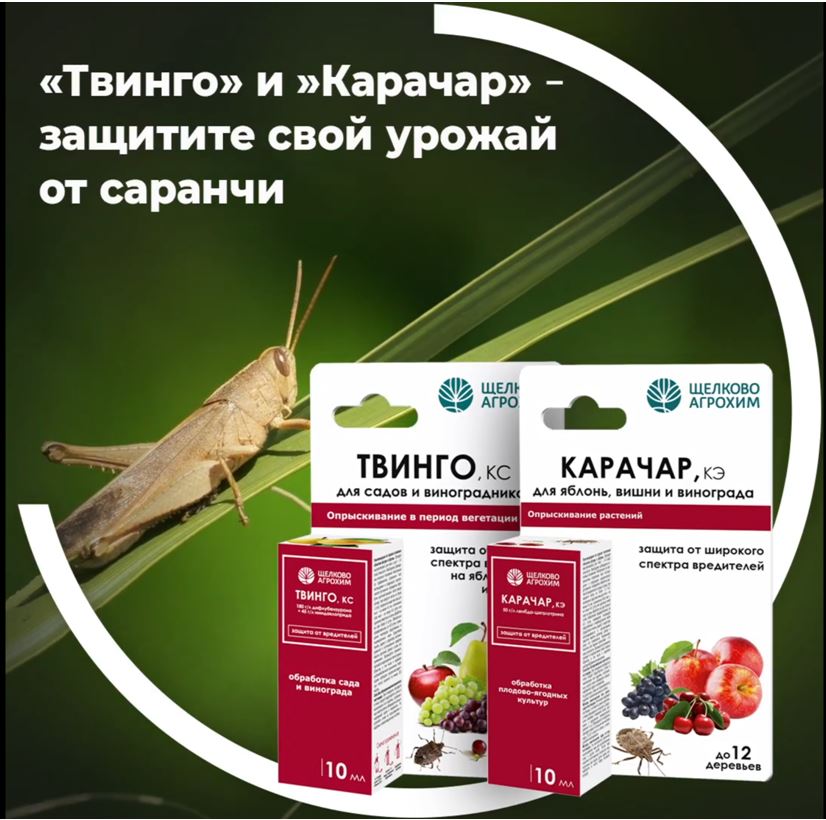 «Твинго» и «Карачар» – защитите свой урожай от саранчи