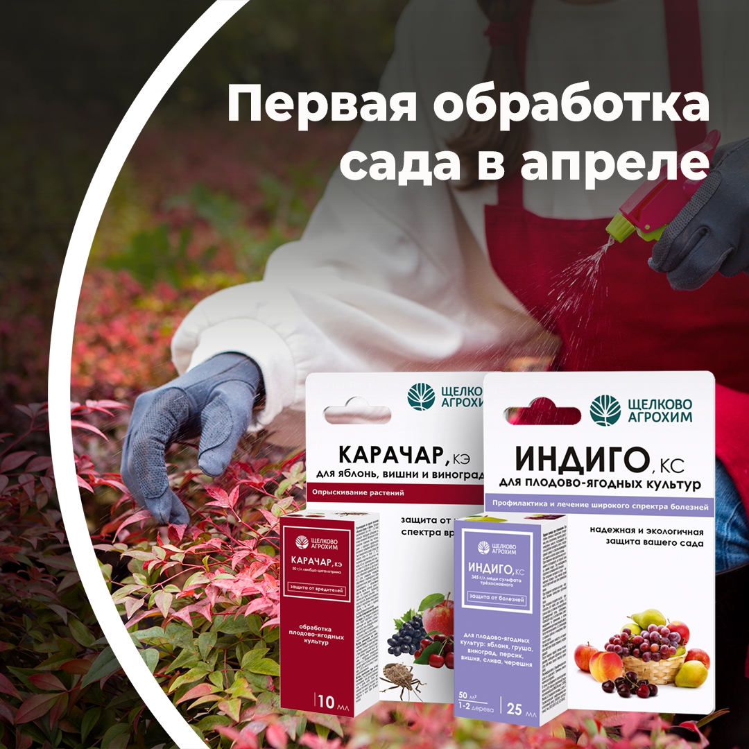 Первая обработка сада в апреле