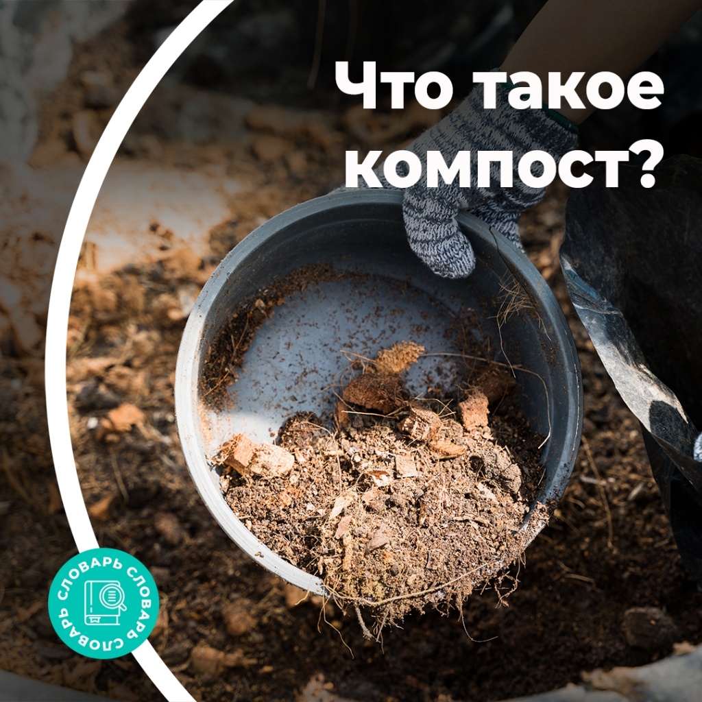 Что такое компост?