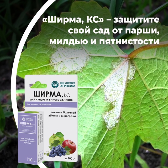 Ширма, КС — защитите свой сад от парши, милдью и пятнистости