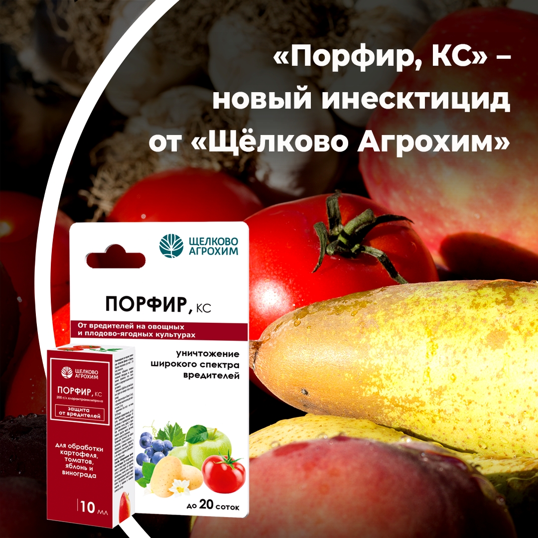 «Порфир, КС» — новый инсектицид  от «Щелково Агрохим»
