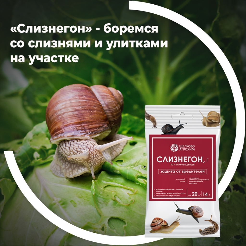 «Слизнегон» — боремся со слизнями и улитками на участке