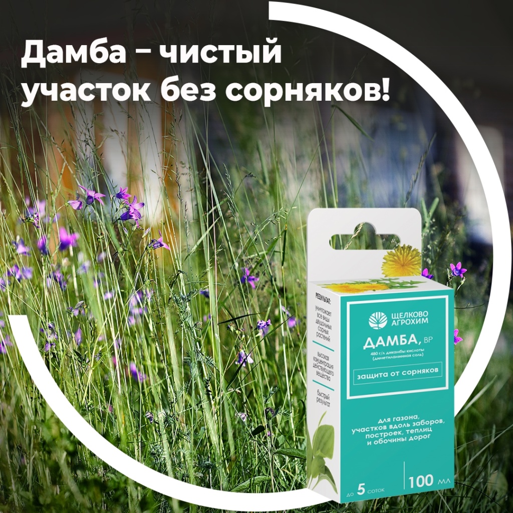 Дамба — чистый участок без сорняков