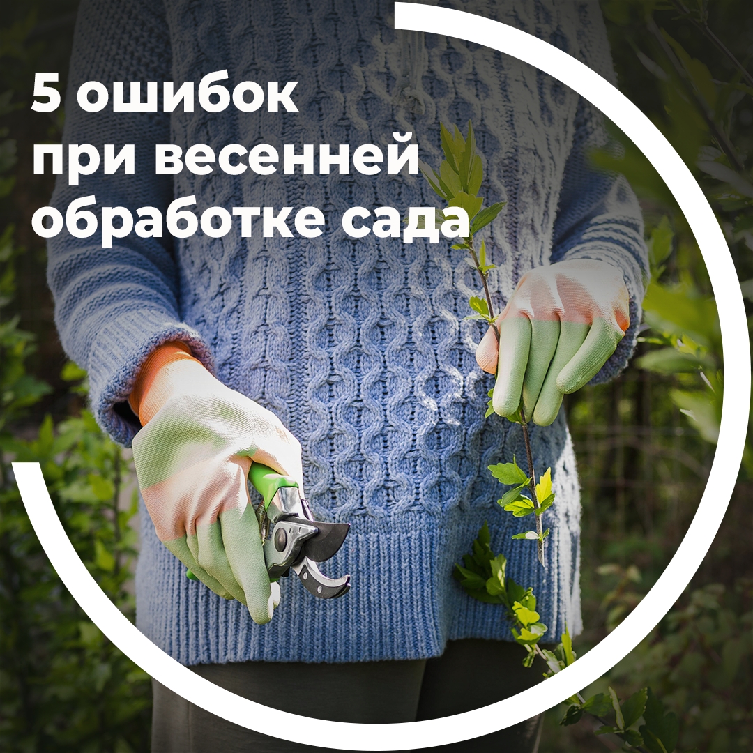 5 ошибок при весенней обработке сада