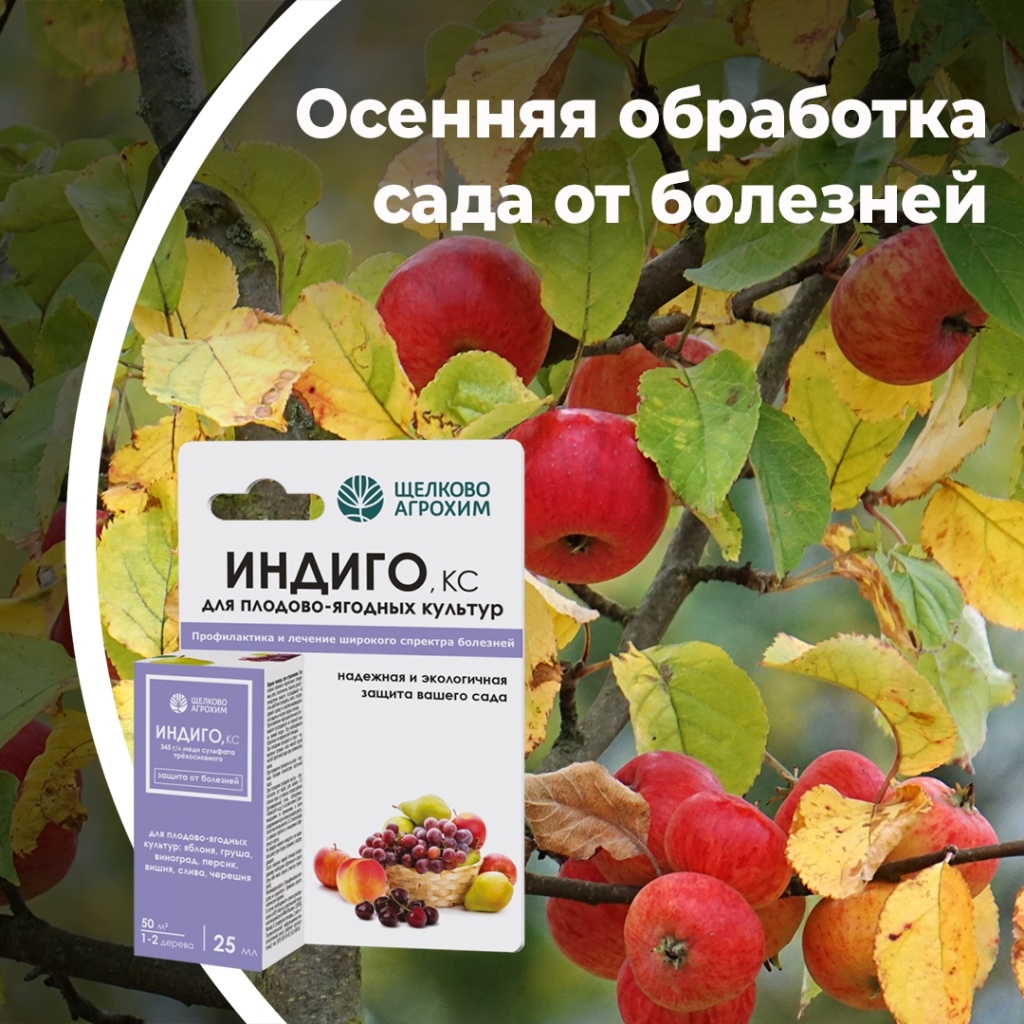 Осенняя обработка сада от болезней