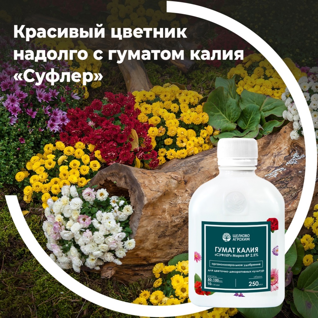 Красивый цветник надолго с гуматом калия «Суфлер»
