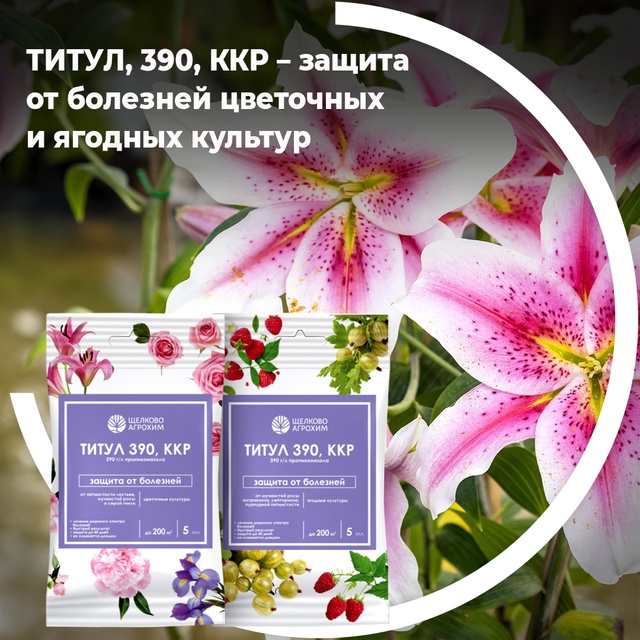 Титул 390, ККР — защита от болезней цветочных и ягодных культур