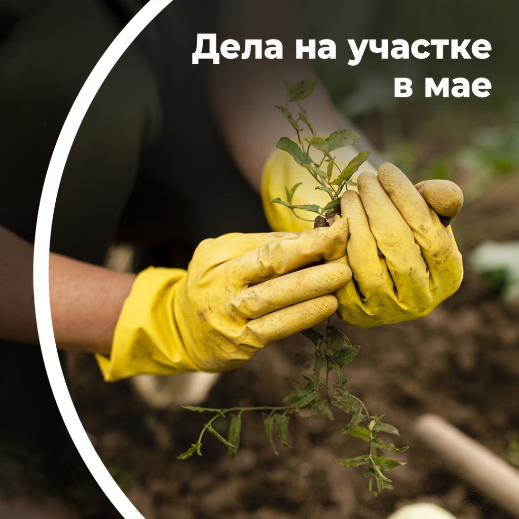 Дела на участке в мае