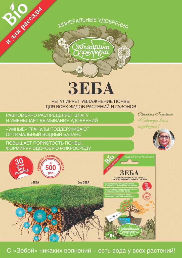 Зеба01.jpg Зеба01.jpg