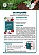 Микорайз пакет в картонной коробке 5 табл/на 5 растений