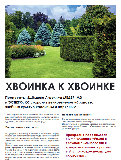 Хвоинка к хвоинке
