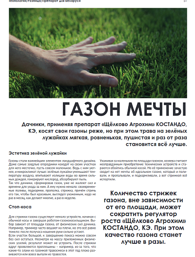 Газон мечты