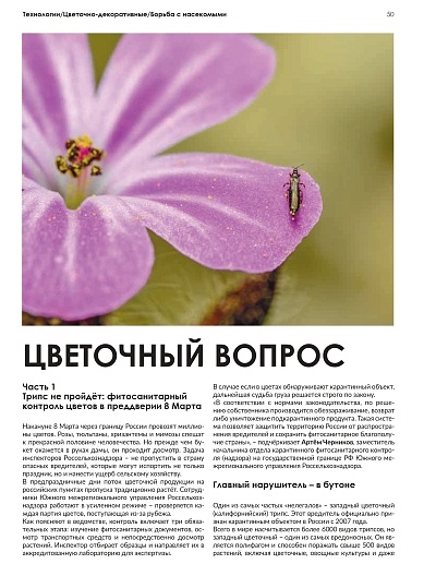 Цветочный вопрос