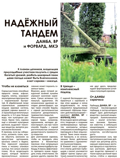 Надёжный тандем ДАМБА, ВР и ФОРВАРД, МКЭ
