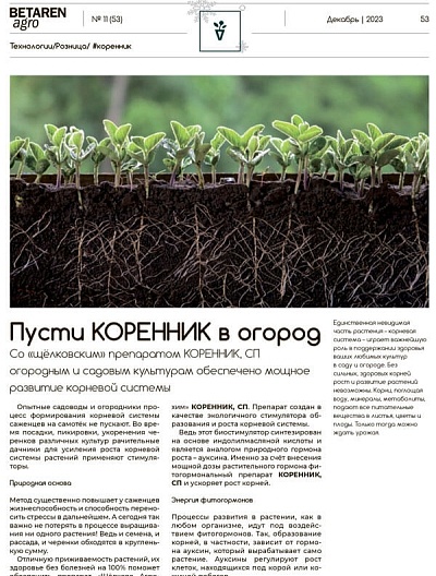 Пусти КОРЕННИК в огород