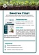 Биостим Старт флакон 10 мл/30 м²